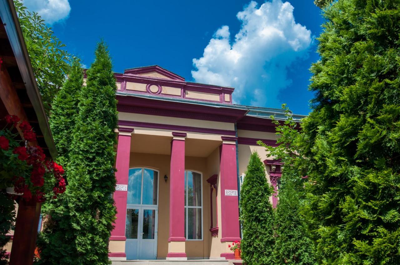 Pensiunea Splendid Dorohoi Bagian luar foto